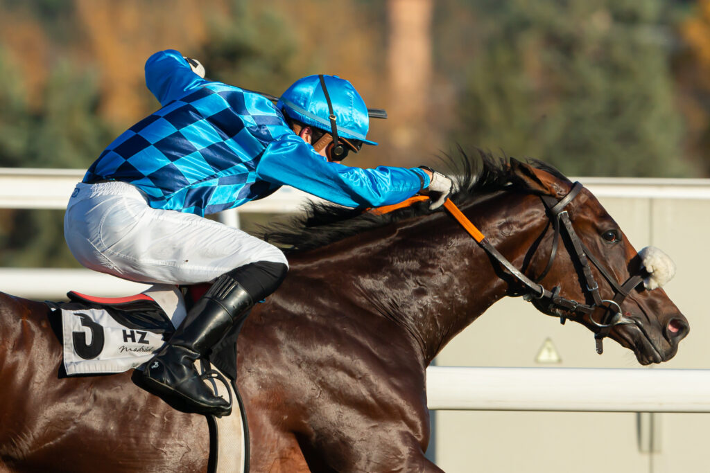 خيل سباق مقالة