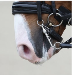 natural saliva , lubricant and non-sticky, natural foaming